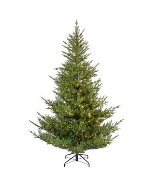 Sapin Norway Spruce micro LED