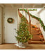 Sapin Norway Spruce micro LED | Noël féérique