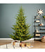 Sapin Norway Spruce micro LED | Noël féérique