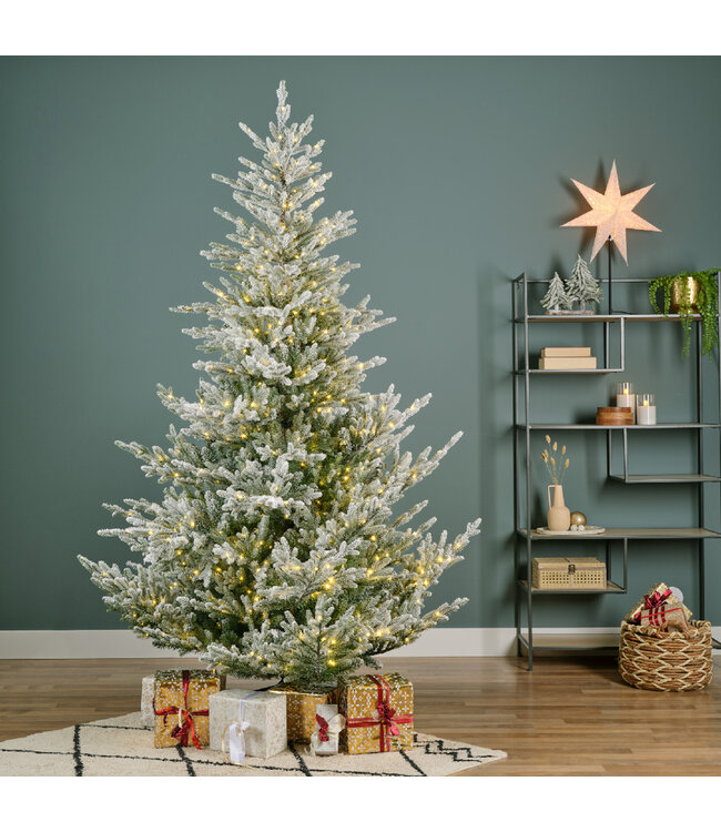 Sapin Norway Spruce micro LED enneigé