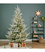 Sapin Norway Spruce micro LED enneigé