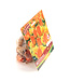 Duo Sun Shower 14 unités | Sac de bulbes à planter pour floraison éclatante