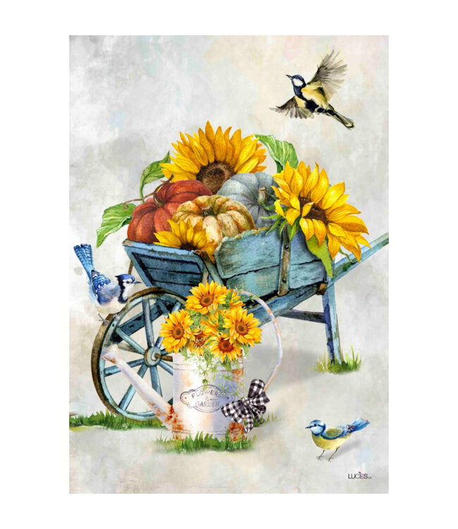 Drapeau - Brouette d'automne 28 x 40 po