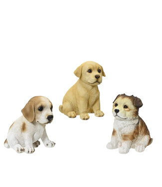 Chien assis | Adorable