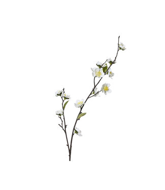 Tige de fleurs de cerisier 28 po