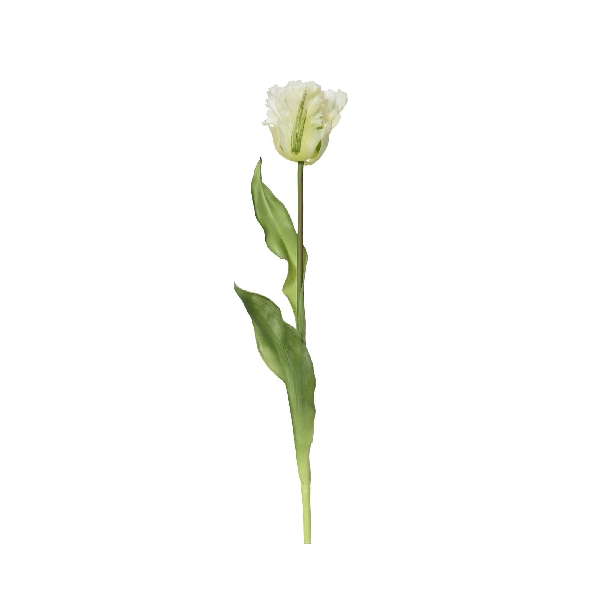 Tulipe Champignon Opale Westinghouse Blanche 7,5 Cm - Abat-jour Verre Classique Pour Plafonnier