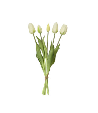 Bouquet de tulipes blanche 16 po