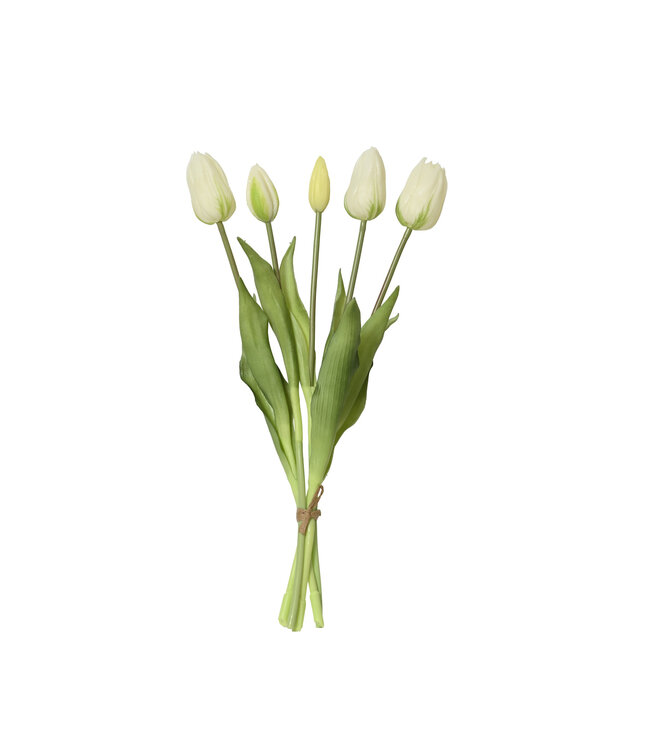 Bouquet de tulipes blanche | Pure et élégant