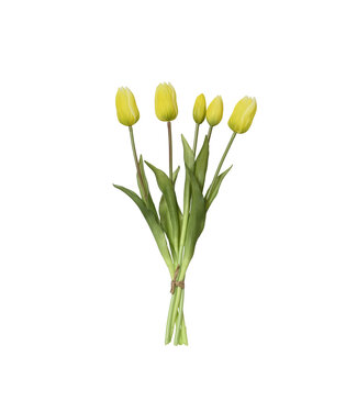 Bouquet de tulipes jaune 16 po