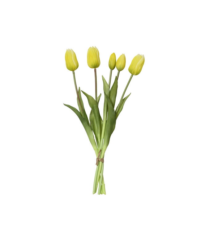 Bouquet de tulipes jaune | Lumineux