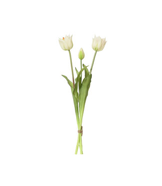 Bouquet de trois tulipes blanches 19 po