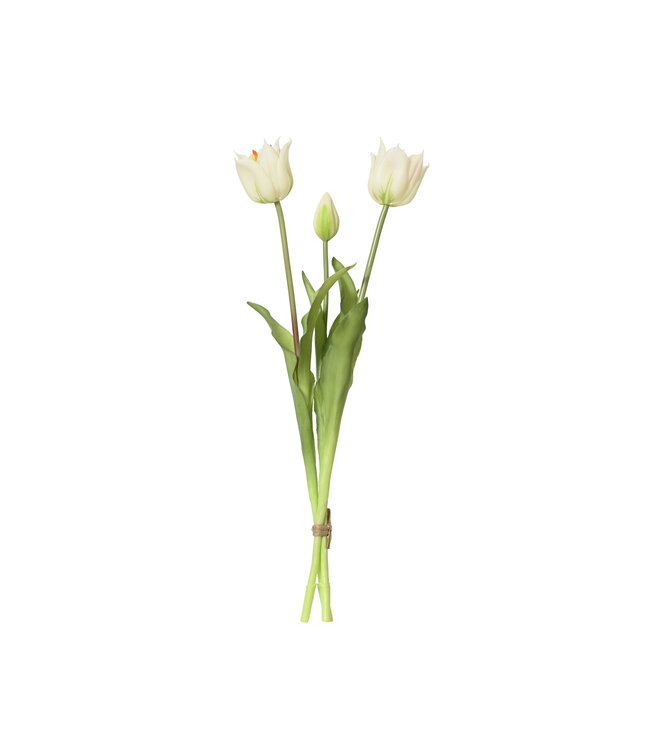 Bouquet de trois tulipes blanches  | Romantique