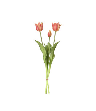 Bouquet de trois tulipes pêche 19 po