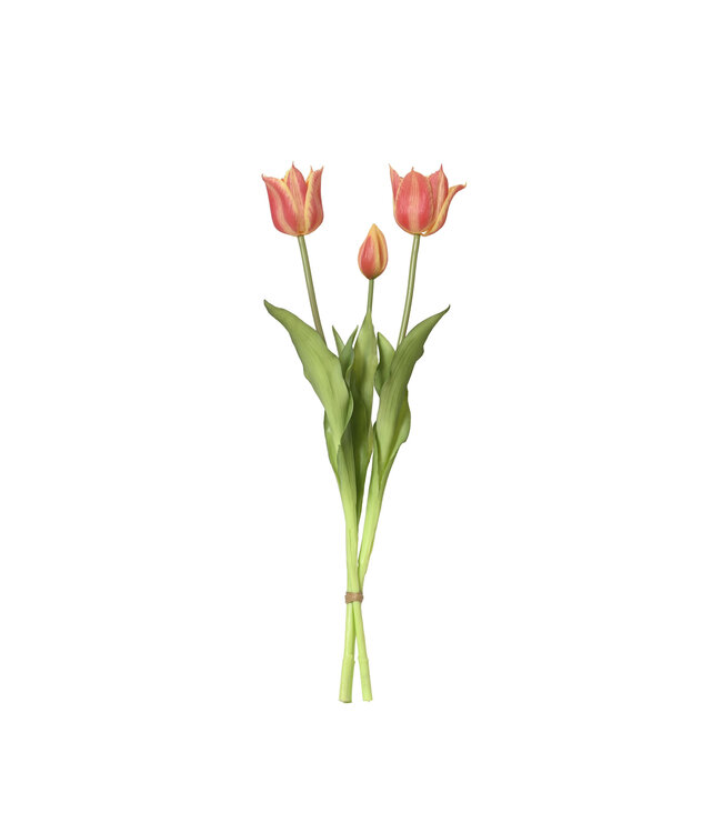 Bouquet de trois tulipes pêche | Fraicheur printanière