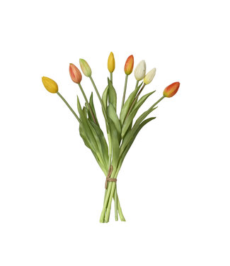 Bouquet de huit tulipes teinte orangée 15 po