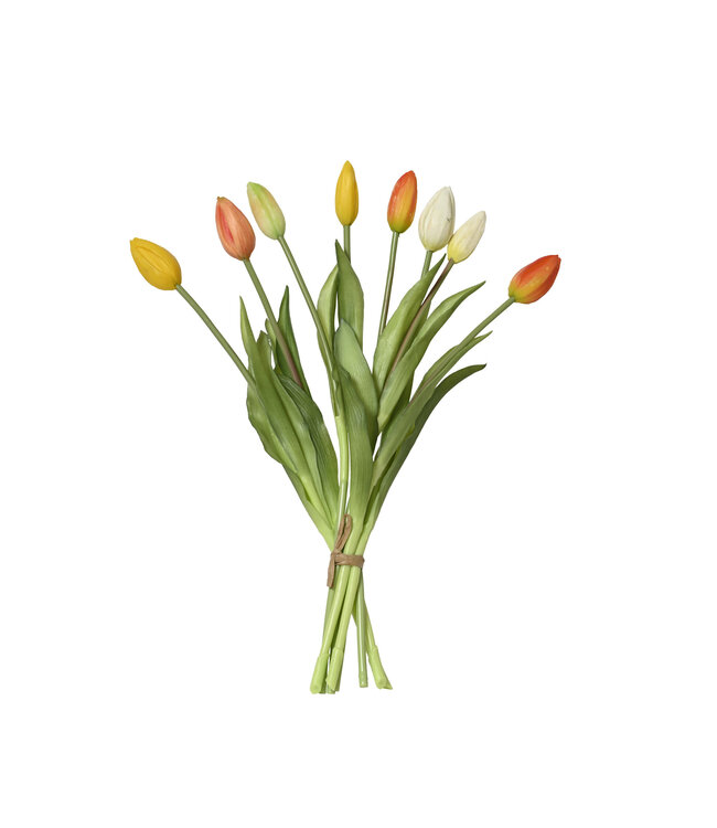 Bouquet de huit tulipes teinte orangée | Lumineux