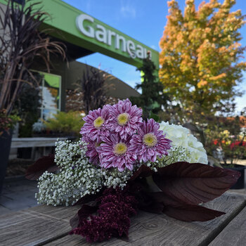Bouquet de la semaine