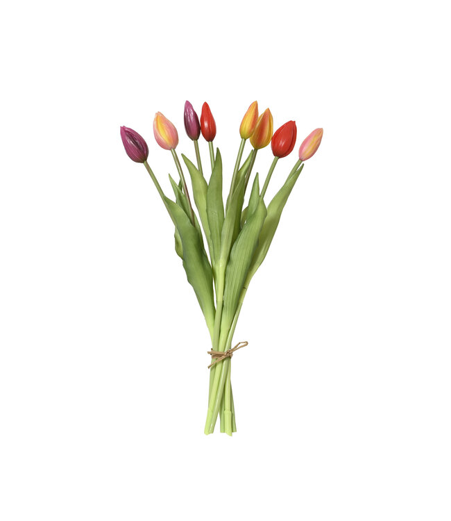Bouquet de huit tulipes multicolores |  Éclatant