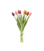 Bouquet de huit tulipes multicolores 15 po