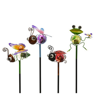 Lumière solaires animaux sur pic