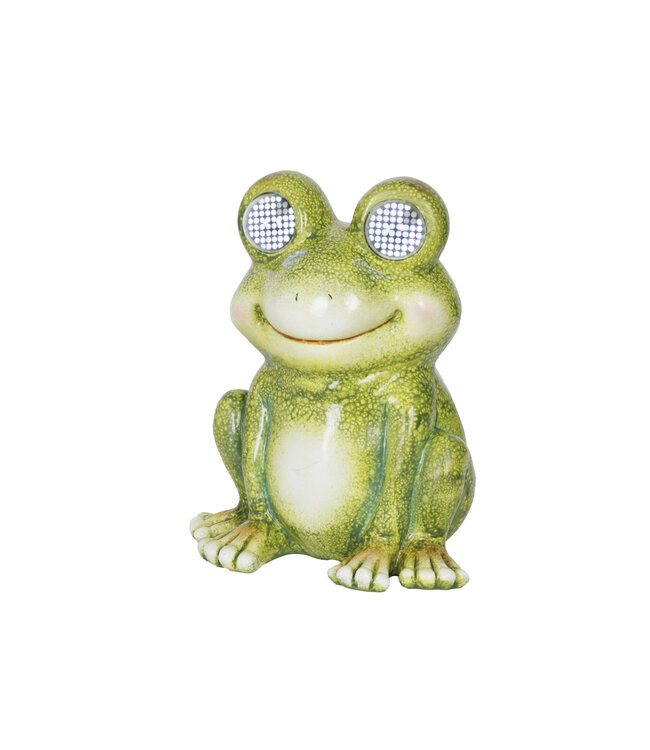 Lumière solaire grenouille | Amusante