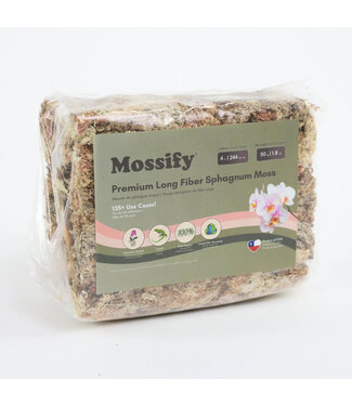 Mousse de sphaigne 1.8 oz