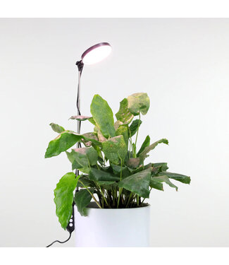 Produit DÉCOUVERTE | Lumière LED ajustable 28 po noir