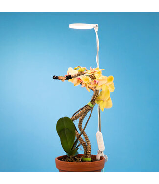 Produit DÉCOUVERTE | Lumière LED ajustable 28 po blanche