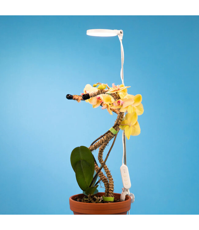 Produit DÉCOUVERTE | Lumière LED ajustable 28 po blanche | Spectre complet, marque canadienne