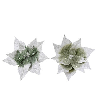 Poinsettia blanc et vert sur clip (2 ass.)