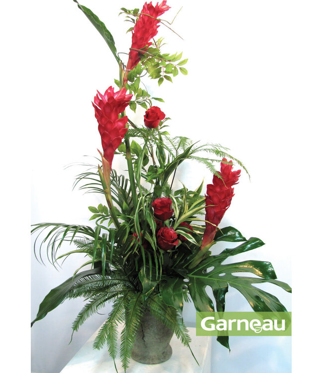 Souvenirs tropicaux AF-097