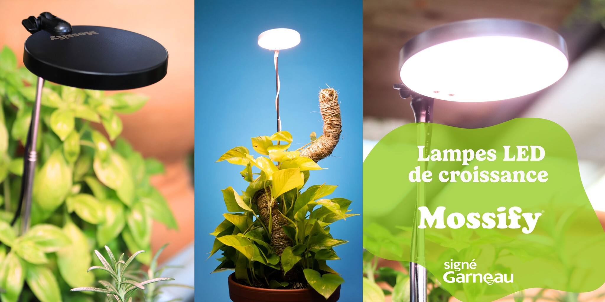 Mossify: Lampes de croissances LED à découvrir absolument!