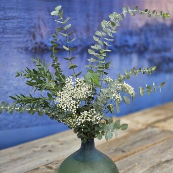 Bouquet de la semaine