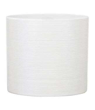 Cache pot Cylindre 3.5 po