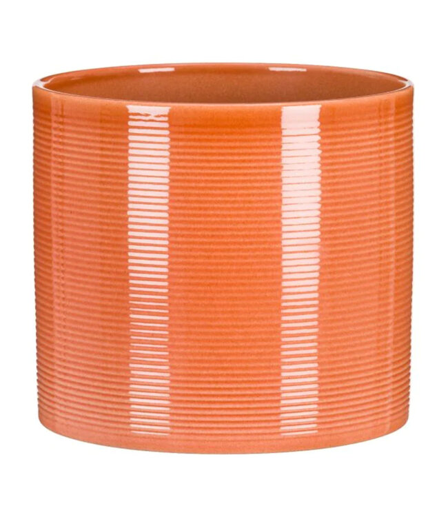 Cache pot Cylindre 3.5 po | Pot décoratif minimaliste pour plantes et jardin moderne