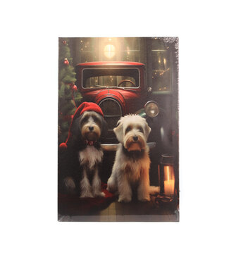 Cadre lumineux du temps des fêtes