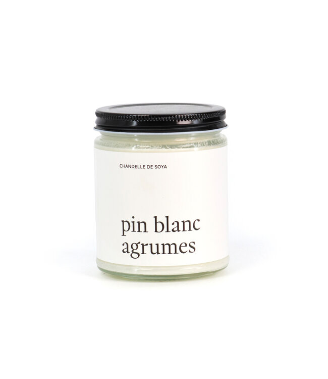Chandelle de soya | Pin blanc agrumes 270 ml