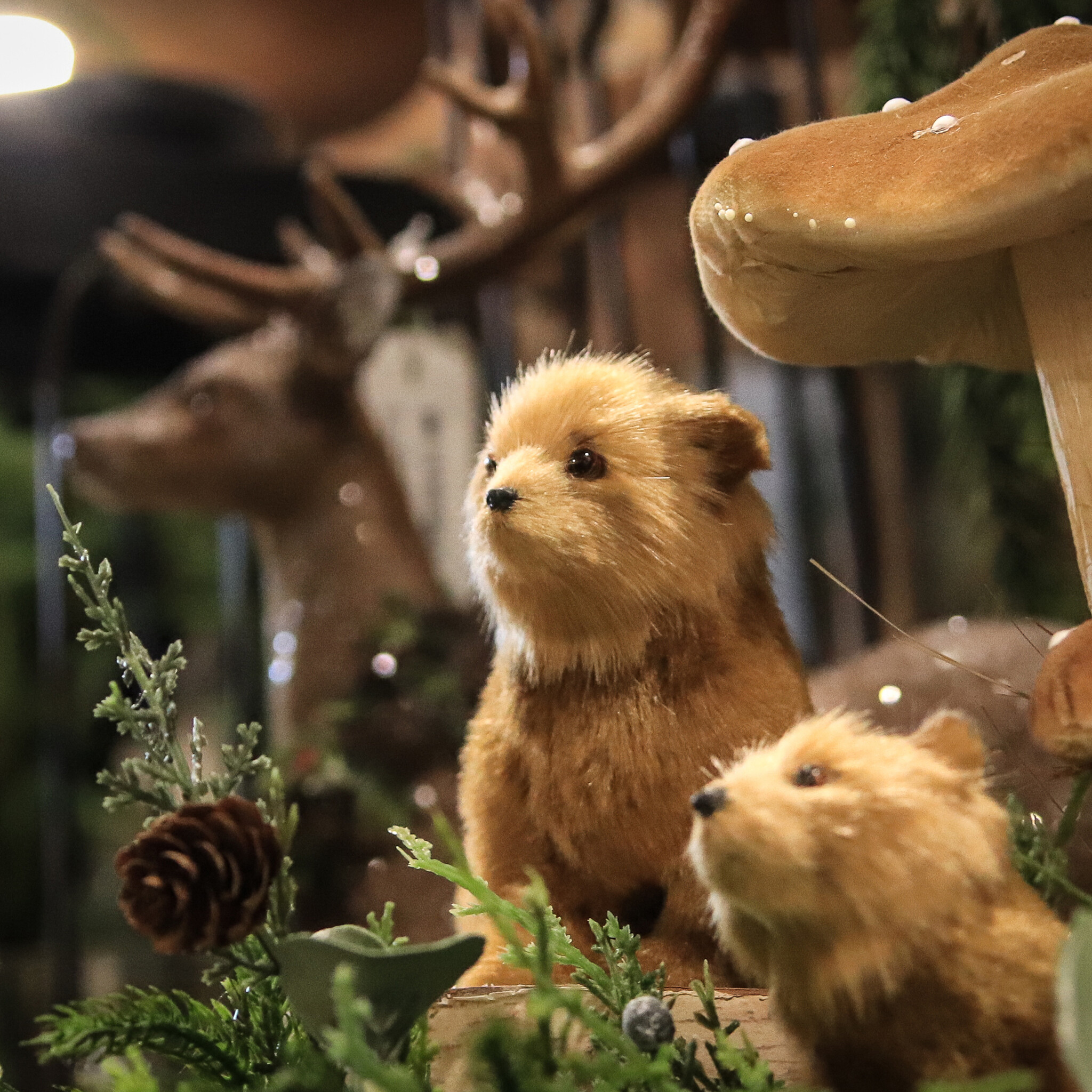 Promenade en forêt ; Noël Nature | Animaux et Décorations Forestières