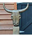 Tête de taureau 46 po | Accent Rustique et Élégant pour Maison et Chalet
