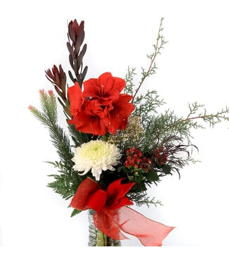 Signé Garneau Amaryllis Royale