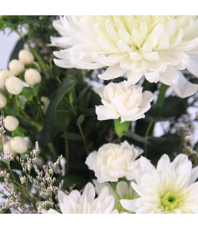 Éclat de Neige | Pure lumière