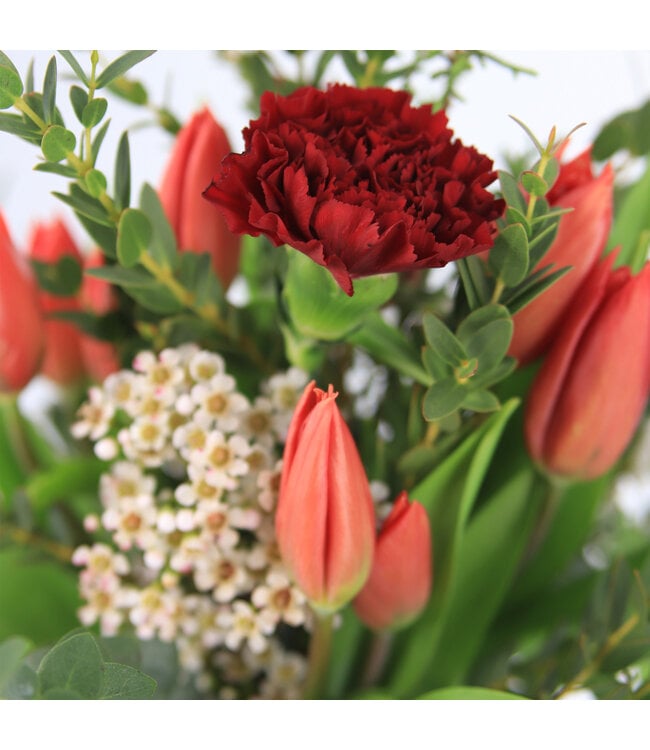 Rouge Brillant | Tulipes et velour