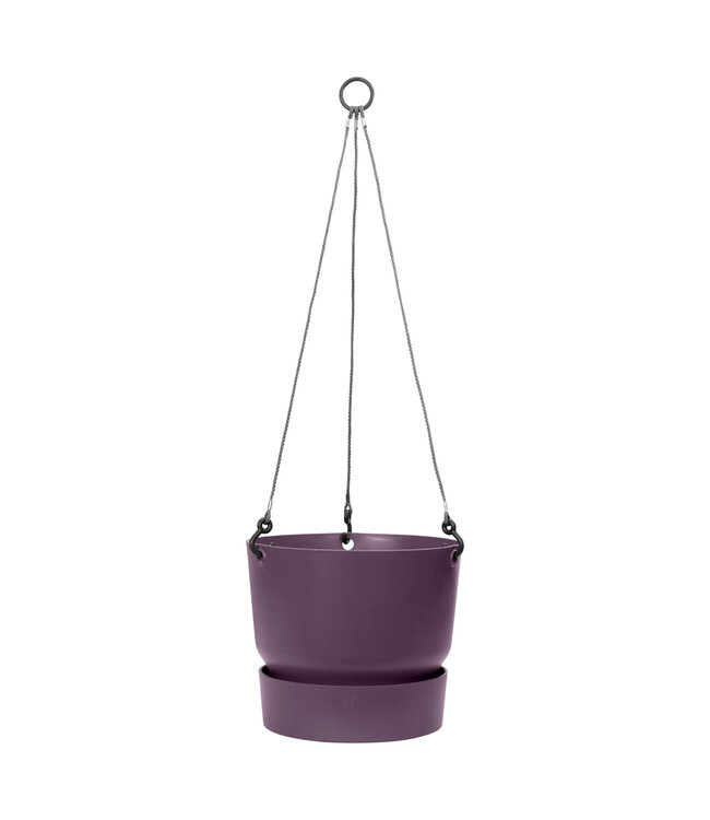Pot suspendu Greenville 9 po | Décoration suspendue pour le jardin et la maison