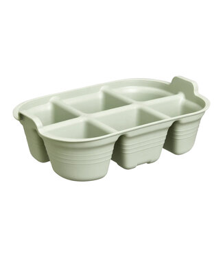 Plateau de semis vert