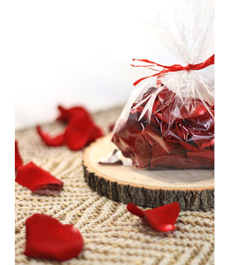 Signé Garneau Pétales de Roses Rouges | SV-2417