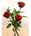 Bouquet "3 Roses Rouges" | SV-2410