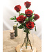 Bouquet Passionnel de 6 Roses Rouges | SV-2411