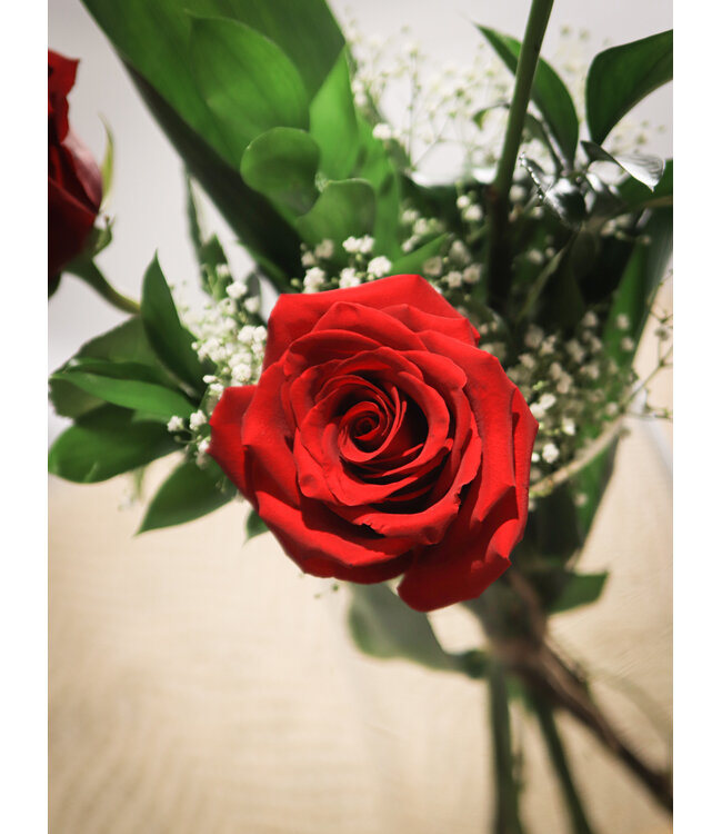 3 Roses Rouges et ses Câlins | SV-2406