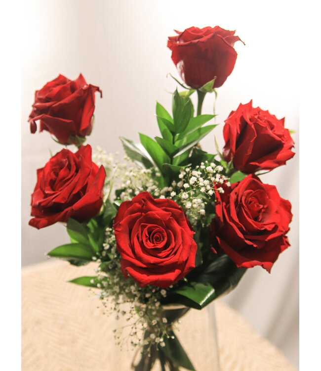 6 Roses Rouges et ses compliments | SV-022
