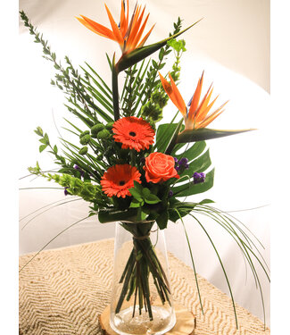 Signé Garneau Coup de Foudre | SV-013